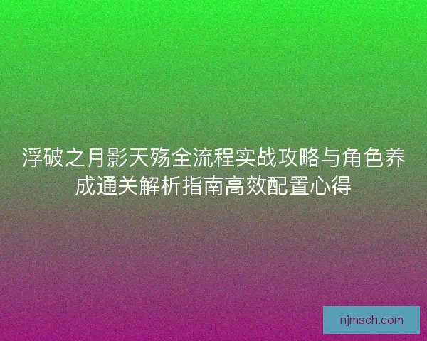 浮破之月影天殇全流程实战攻略与角色养成通关解析指南高效配置心得